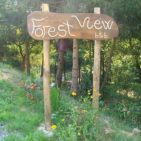 Forest View B&B ガーヴィ エクステリア 写真