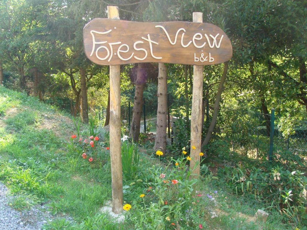 Forest View B&B ガーヴィ エクステリア 写真